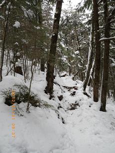渋の湯の奥の橋から入ります